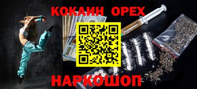 индика Сланцы