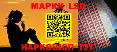 индика Сланцы