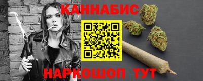 индика Сланцы