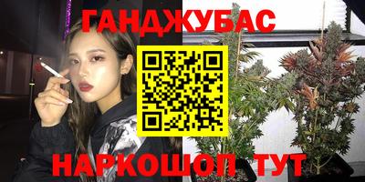 индика Сланцы