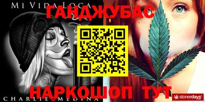 индика Сланцы