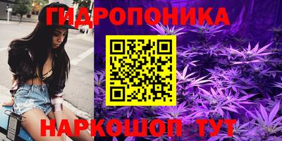 индика Сланцы