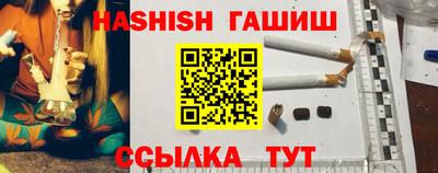 индика Сланцы