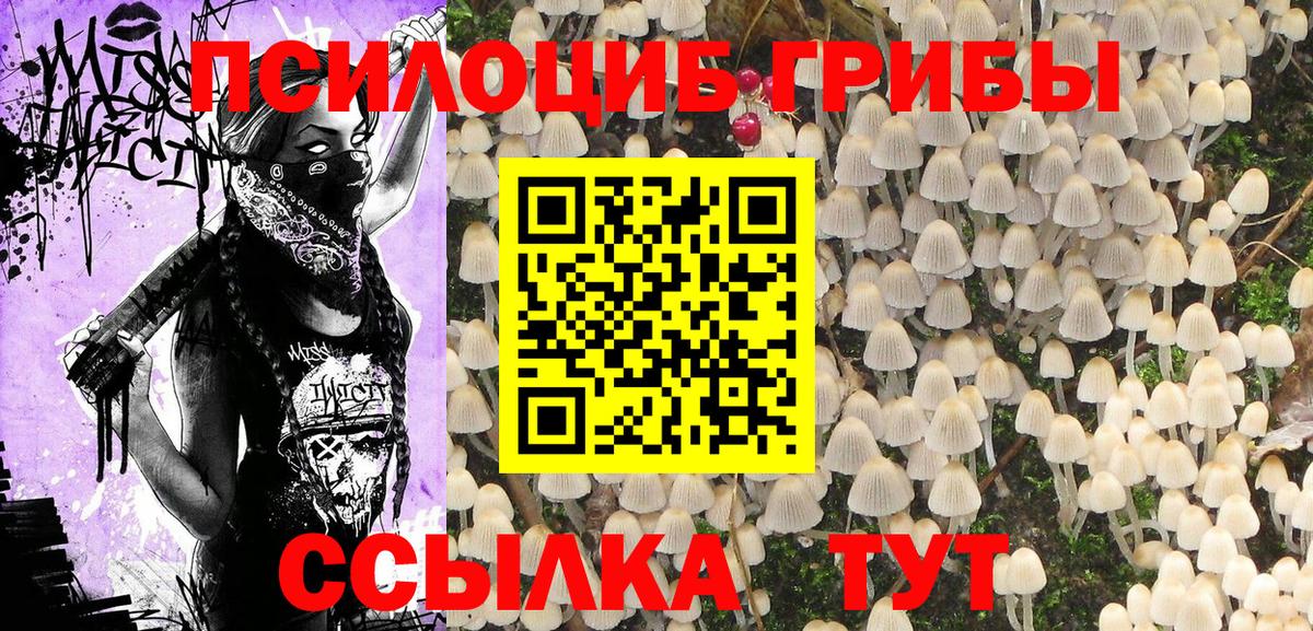 купить наркотик  Вход с VPN  Протвино  Псилоцибиновые грибы Psilocybe 